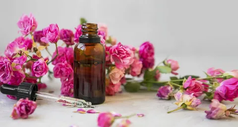 گلاب ربیع با غلظت متعادل و رایحه دلپذیر